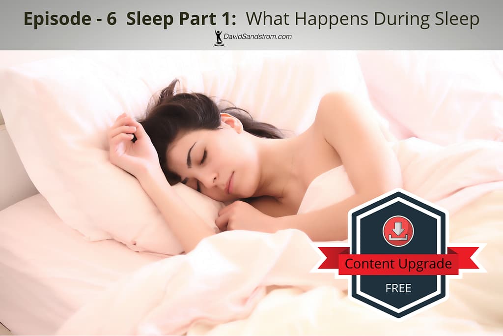 What happens during sleep